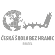 csbh-brusel-google-logo